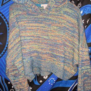 Urban Outfitters sweater with hoodies